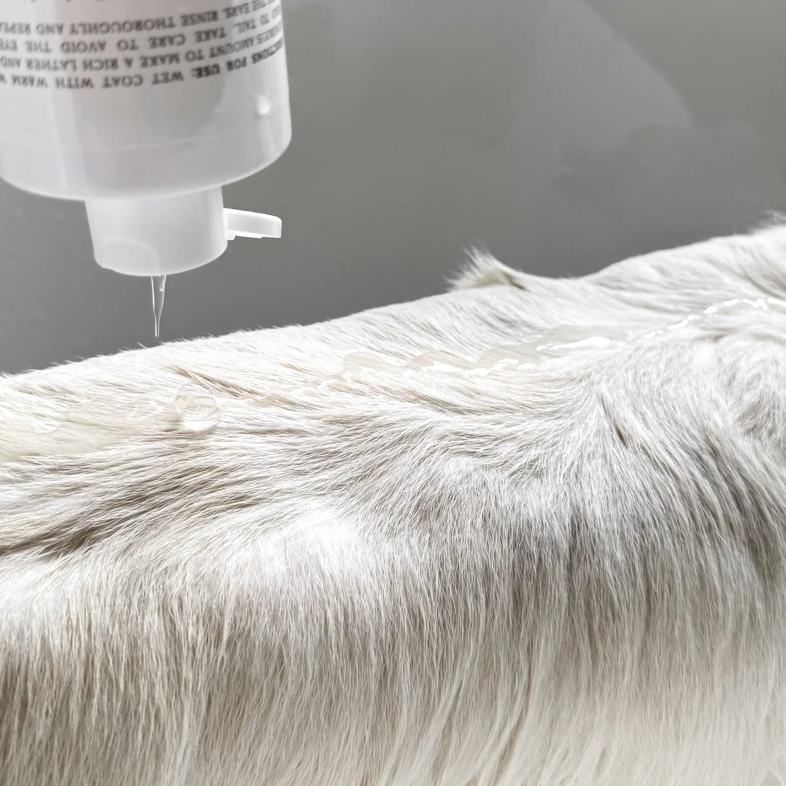 Gentle pet wash being applied to a dog's wet, white fur, showcasing a plant-powered, no-tear formula.