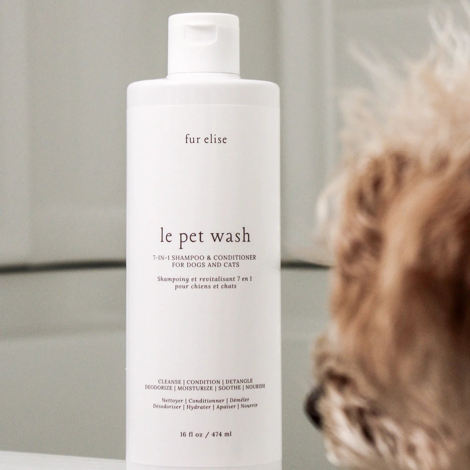 Le Pet Wash bottle with gentle formula for dogs and cats, featuring a clean white design and easy-squeeze cap.