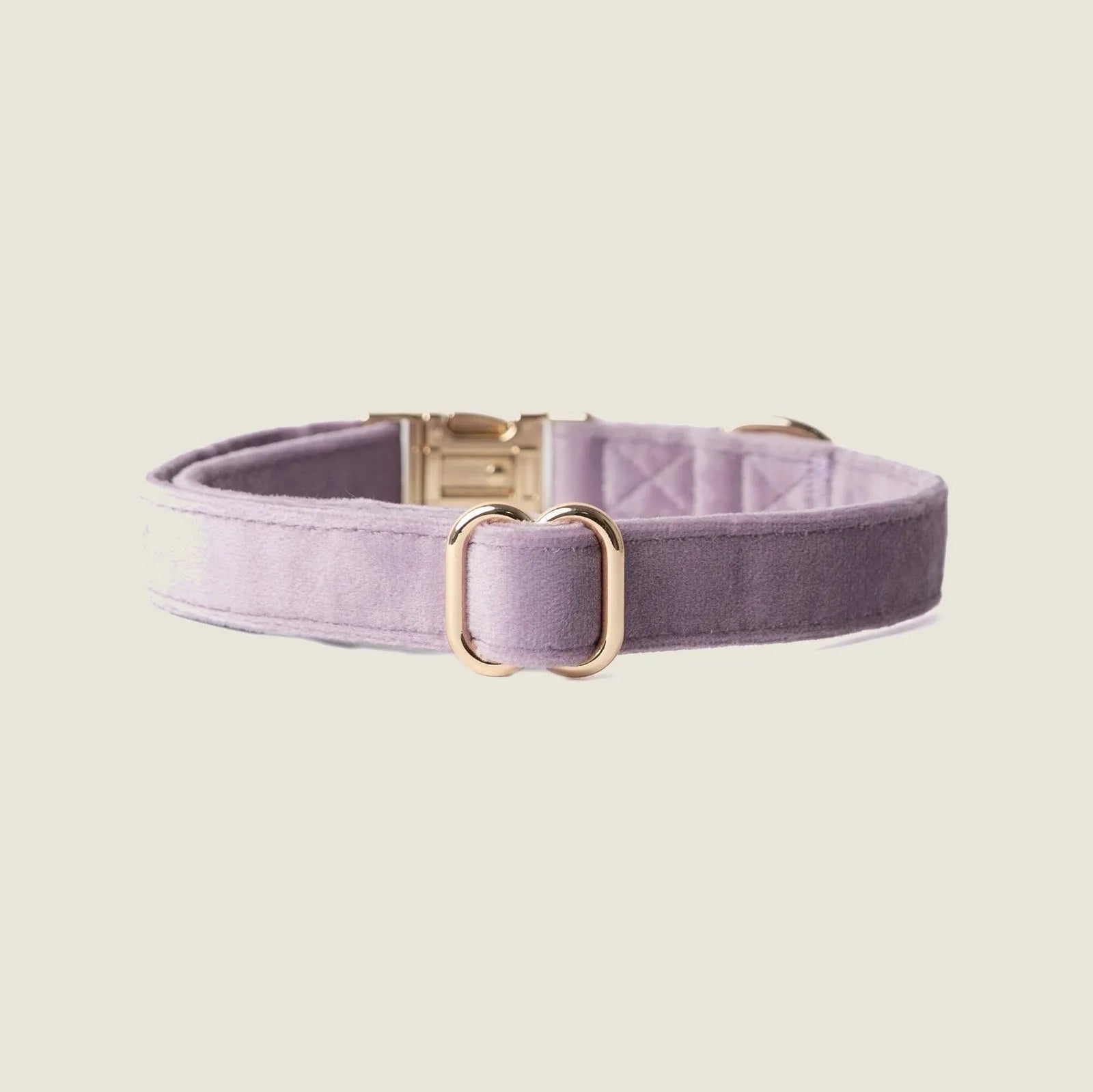 Lilac velvet dog collar with gold hardware, featuring a soft texture and elegant design for comfortable daily wear.
