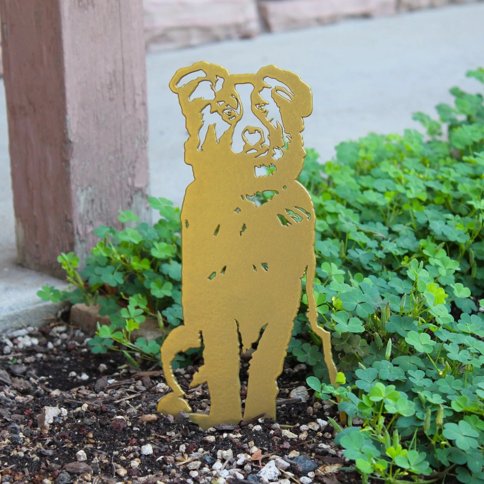 Limited Edition gold metal silhouette of an Australian Shepherd, displayed among green ground cover in an outdoor setting.