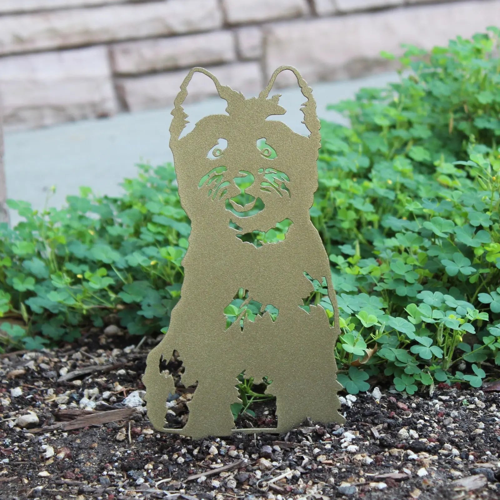 Limited edition gold Cairn Terrier silhouette made of weathering steel, set among green plants in a garden setting.