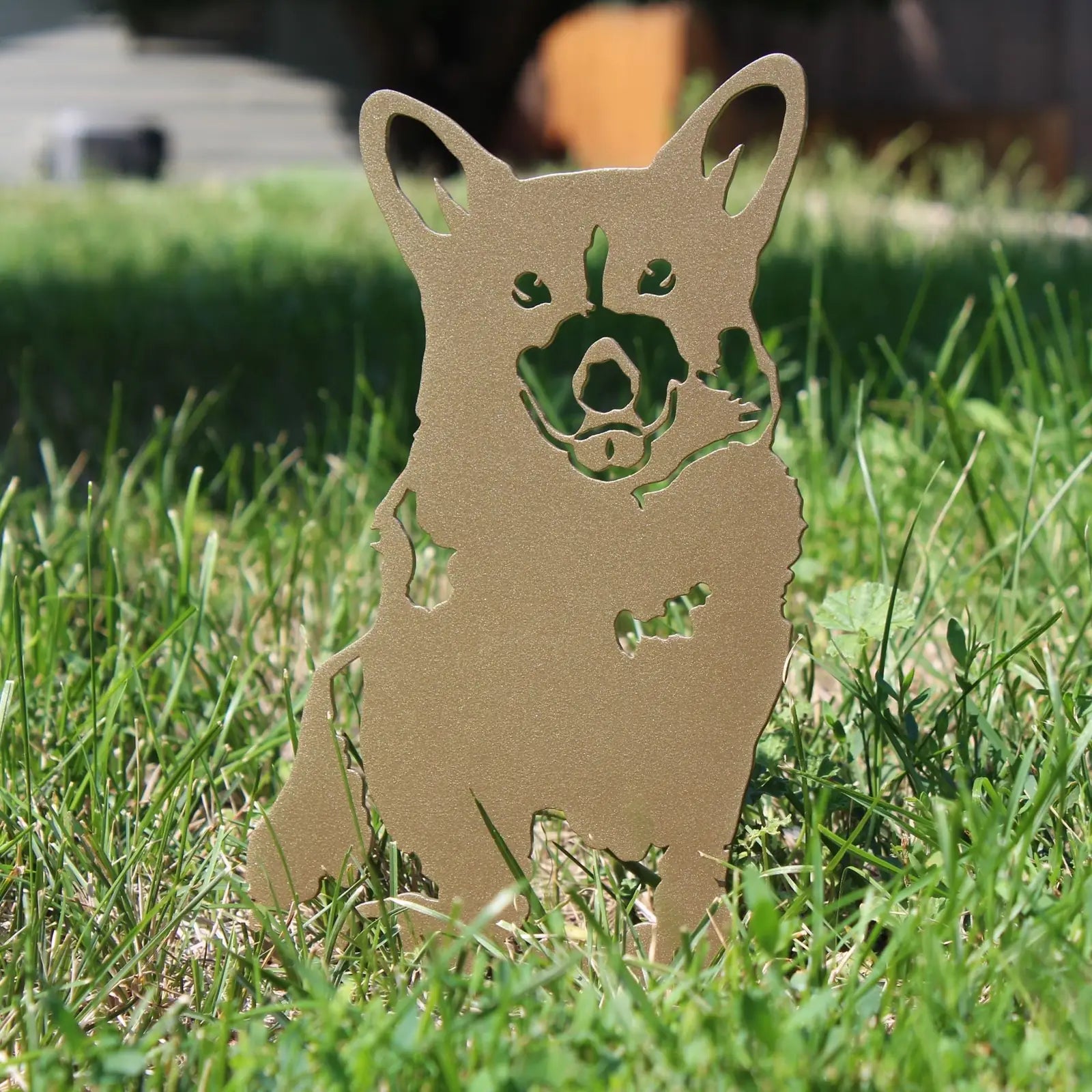 Limited Edition gold metal Corgi silhouette standing on grass, showcasing intricate cutout design and powder-coated finish.