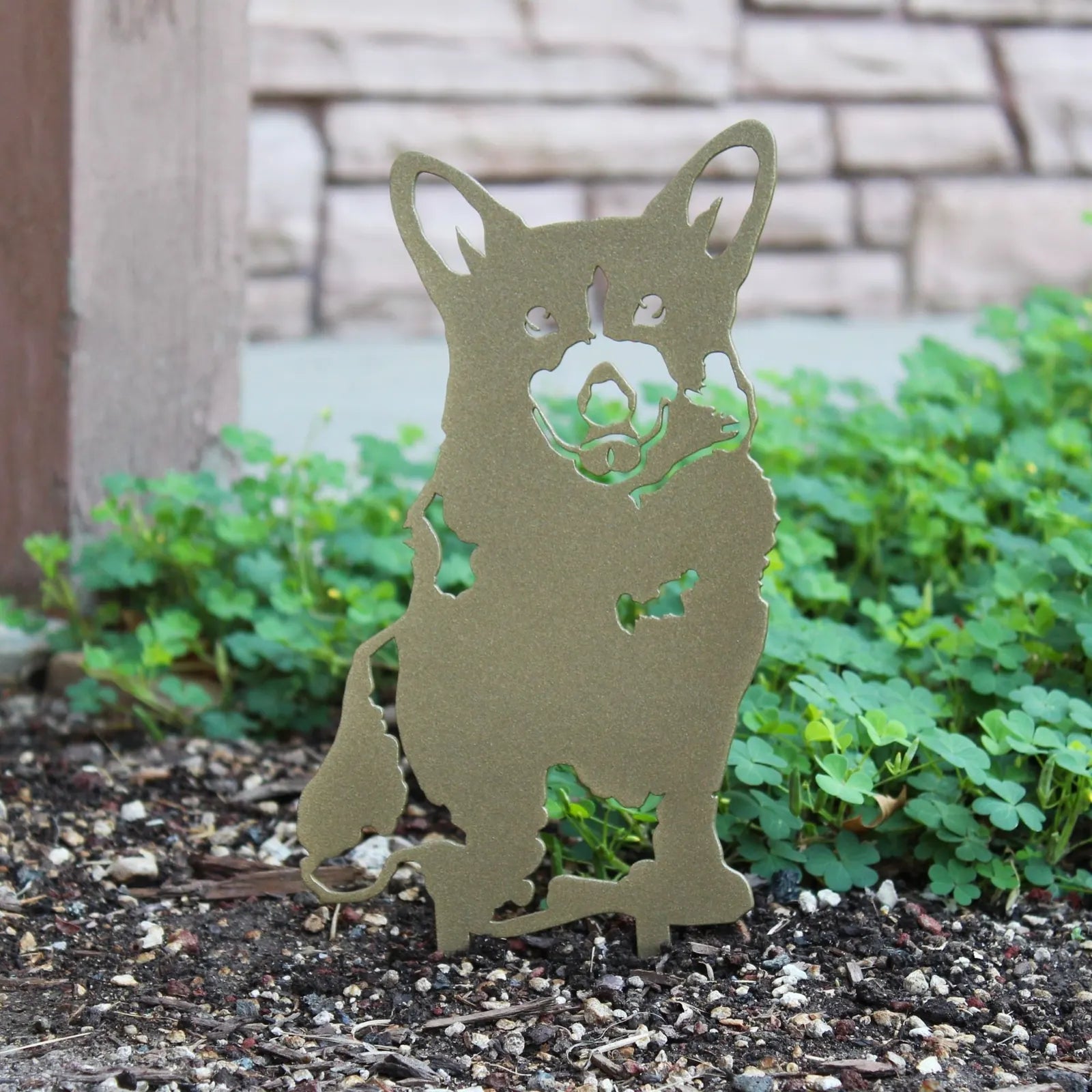 Limited Edition gold corgi metal silhouette standing among green ground cover, showcasing its playful design.