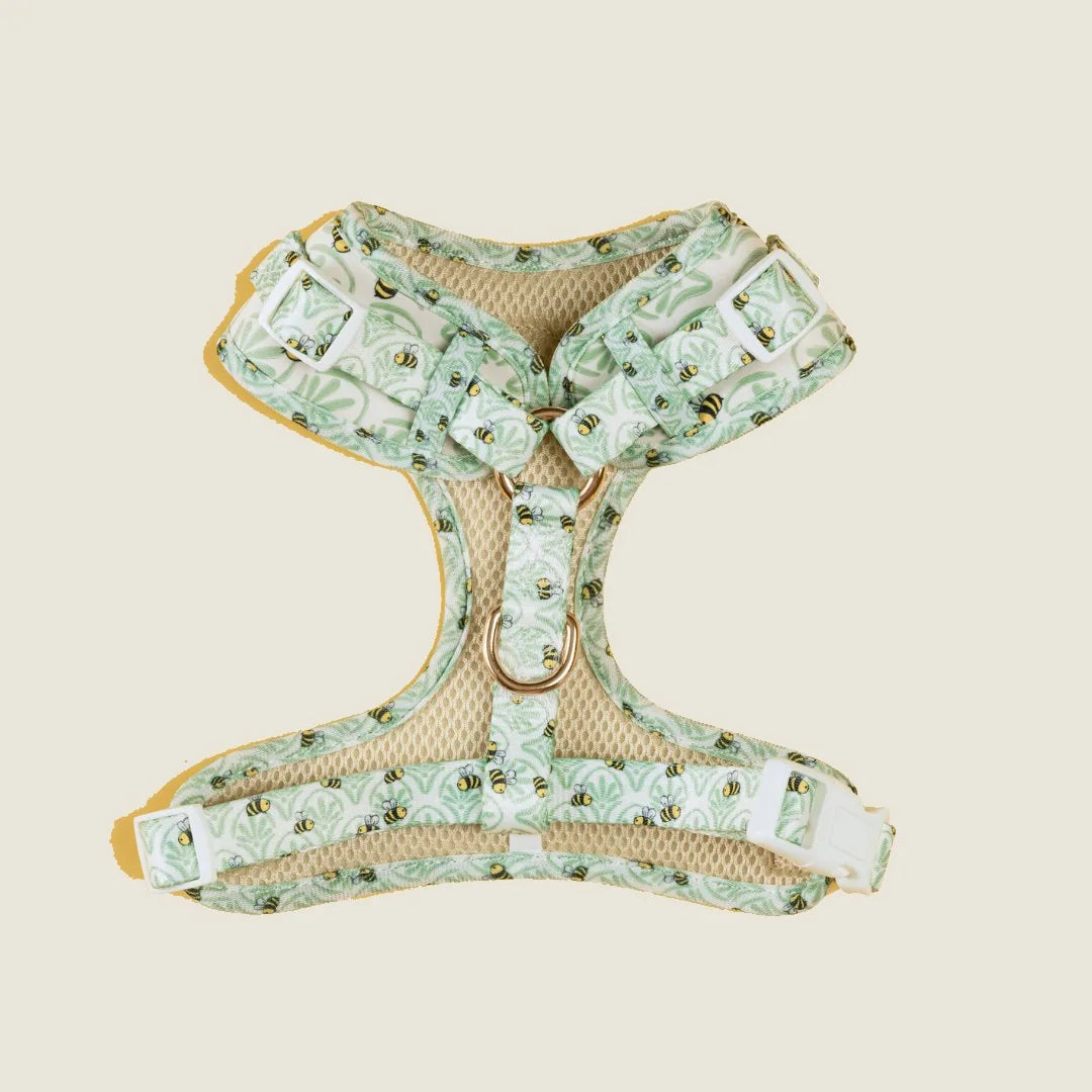 Light green adjustable dog harness with a floral and bee pattern, made from soft neoprene and breathable mesh.