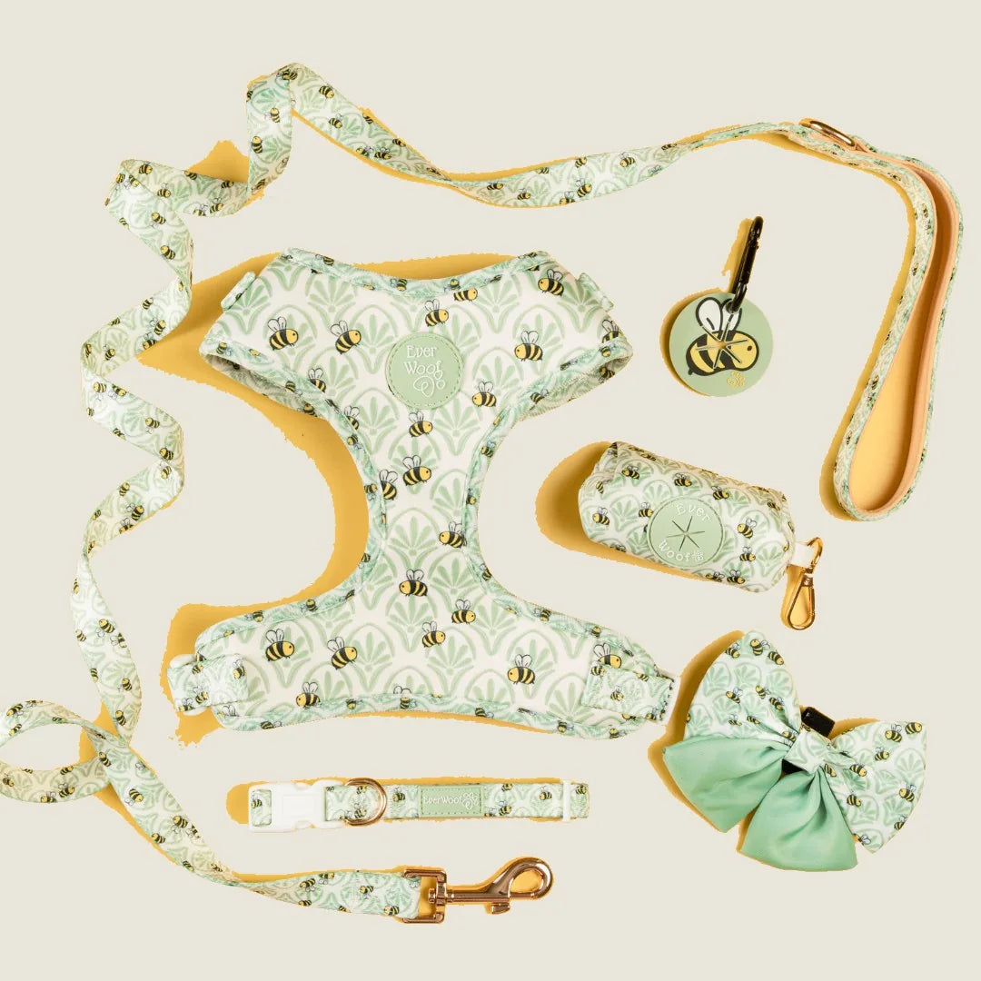 Little Honey Adjustable Harness by EverWoof in soft green with bee patterns, featuring adjustable straps and matching acce...