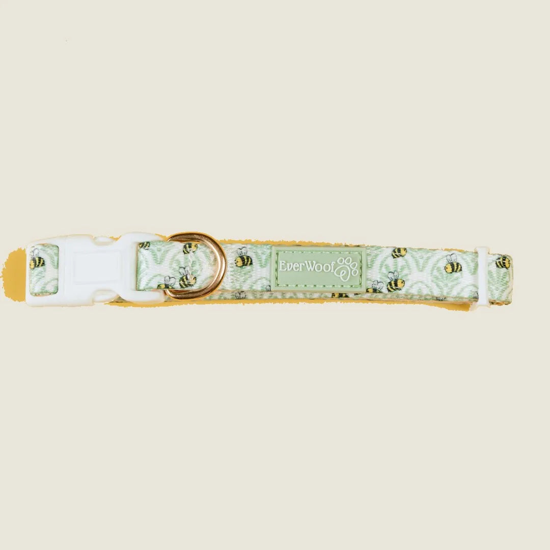 Little Honey Collar by EverWoof in green with bee print, featuring neoprene padding and adjustable gold D-ring.