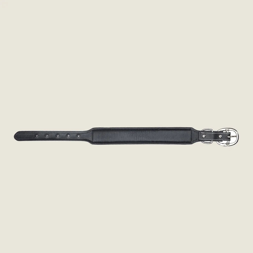 Black leather dog collar with hand-tooled details and metal buckle, designed for style and durability.