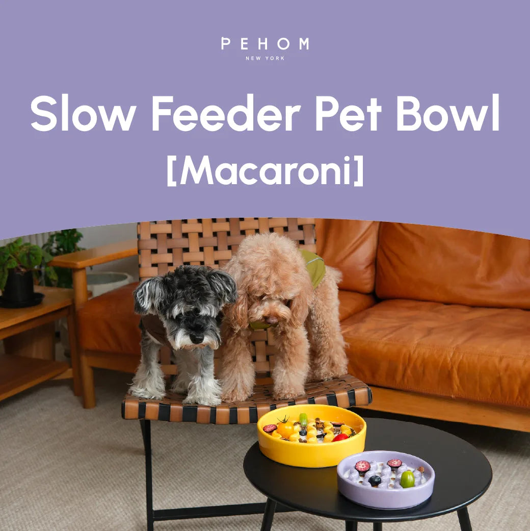 Two dogs beside colorful slow feeder bowls in yellow and purple, set on a low black table in a cozy living space.