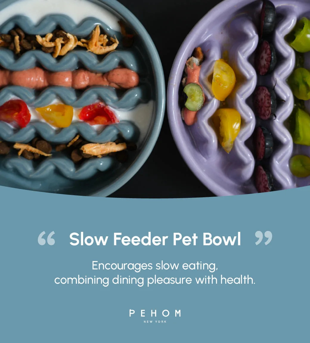 Ceramic slow feeder dog bowls in Frozen Blue and Purple, featuring wavy designs for promoting slow eating.