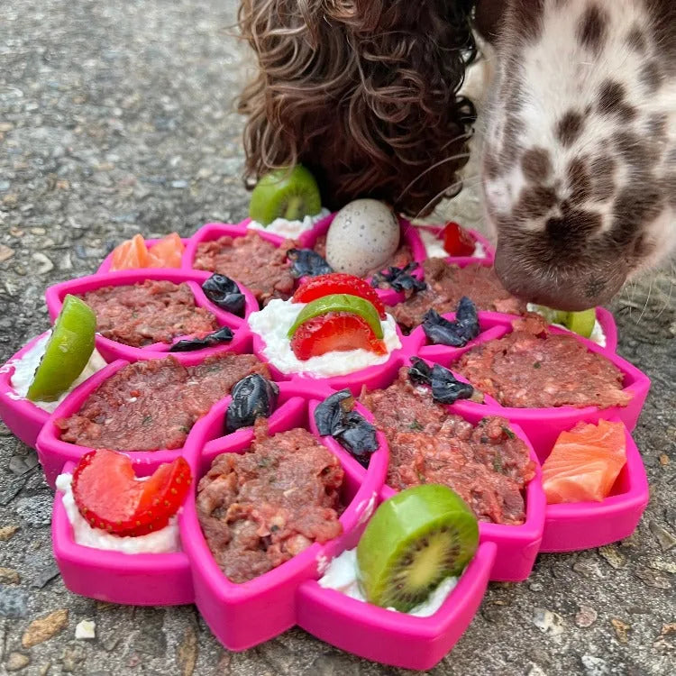 Shallow pink Mandala eTray slow feeder bowl filled with colorful food for dog enrichment.