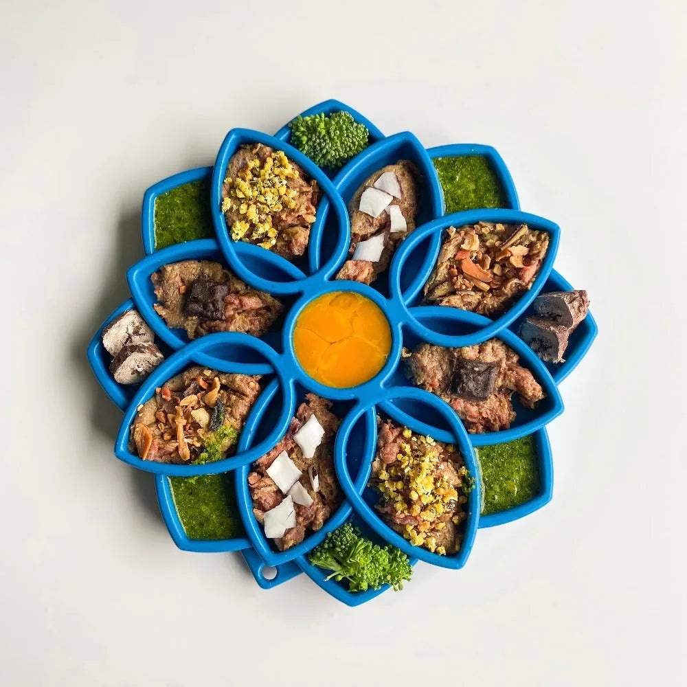 Shallow blue Mandala eTray slow feeder bowl with various textures and food arranged in a flower shape for dog enrichment.