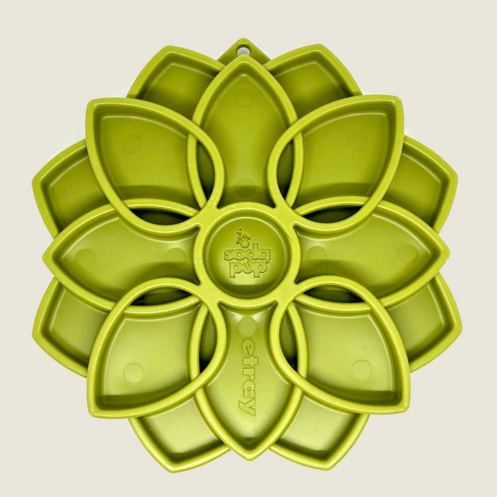 Shallow green mandala-style slow feeder dog bowl designed to enrich mealtime and slow down fast eaters.