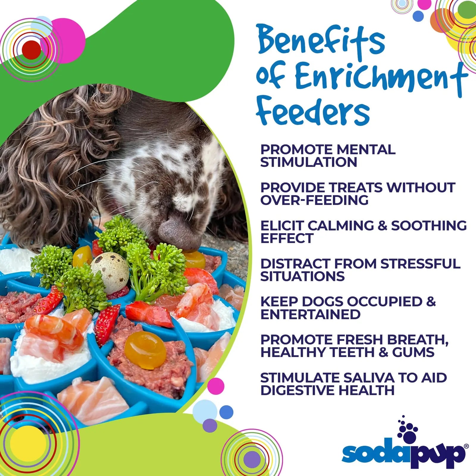 Shallow blue Mandala eTray slow feeder bowl filled with various colorful foods, promoting mental stimulation for dogs.