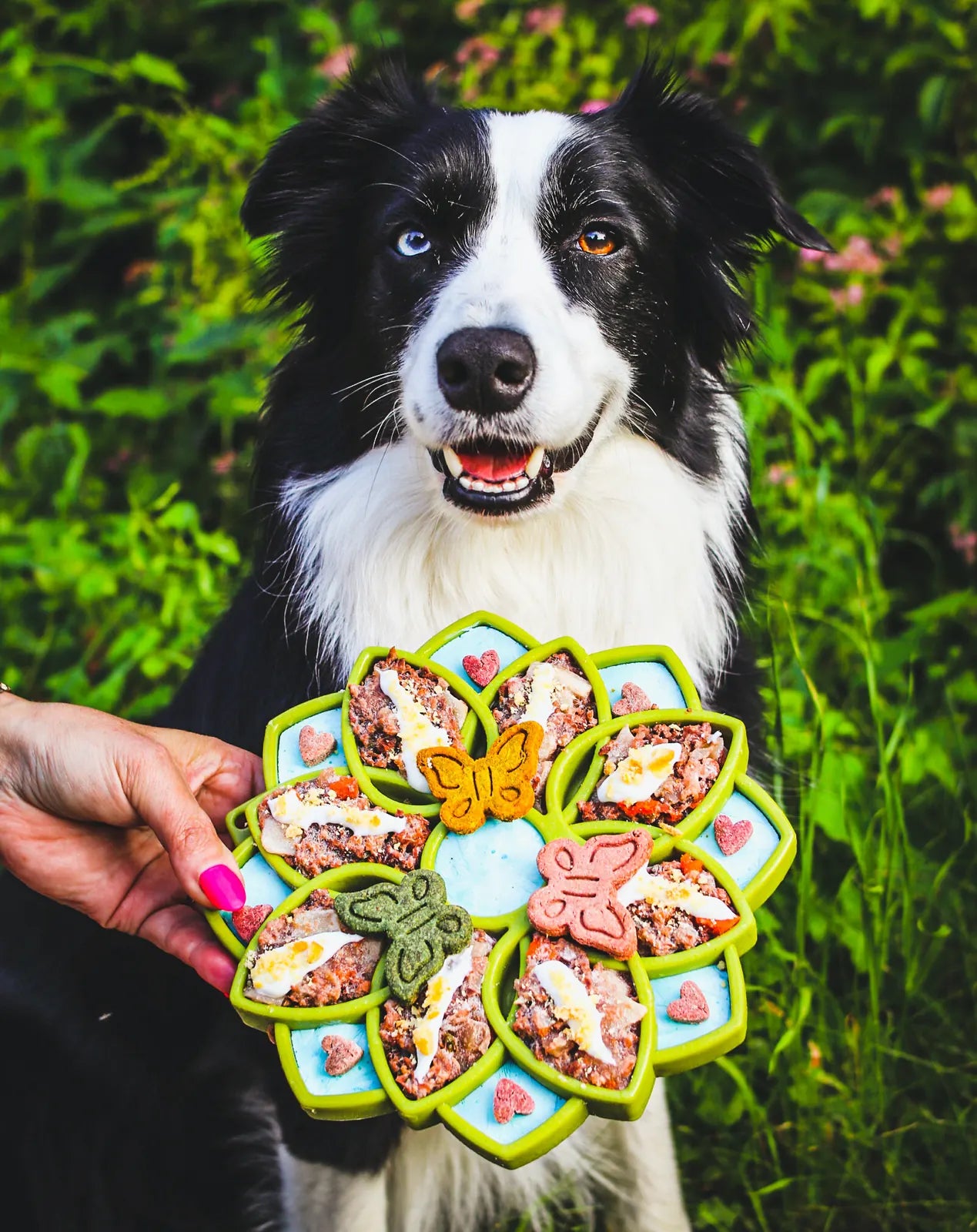 Shallow green mandala slow feeder dog bowl filled with treats, held by a person beside a happy dog in a lush outdoor setting.