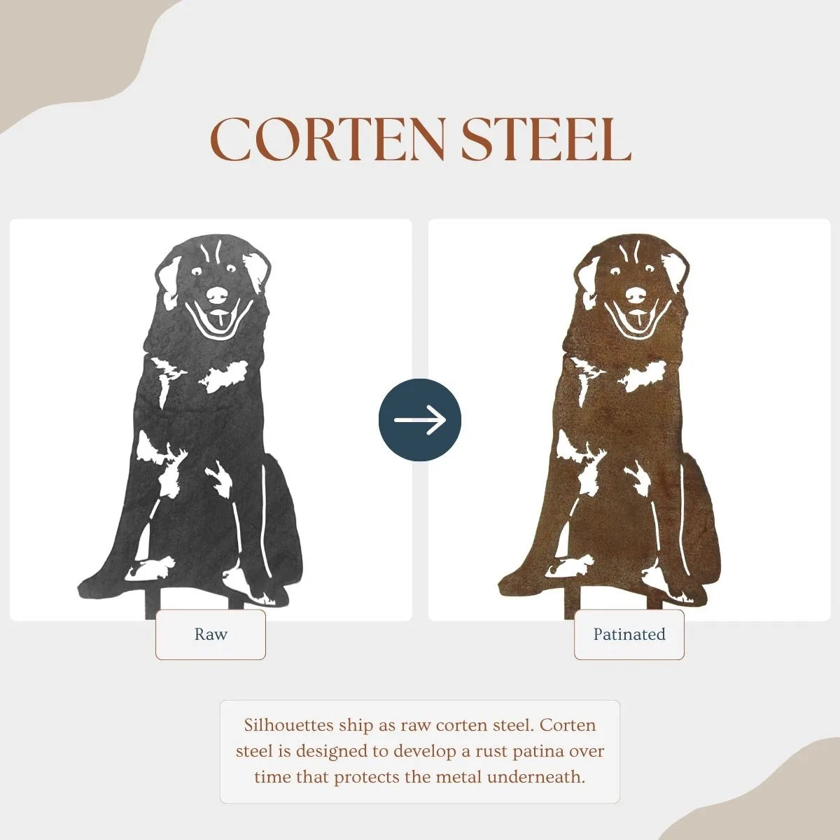 Maremma Sheepdog silhouette showing raw and patinated finishes in Corten steel, illustrating rust development over time.