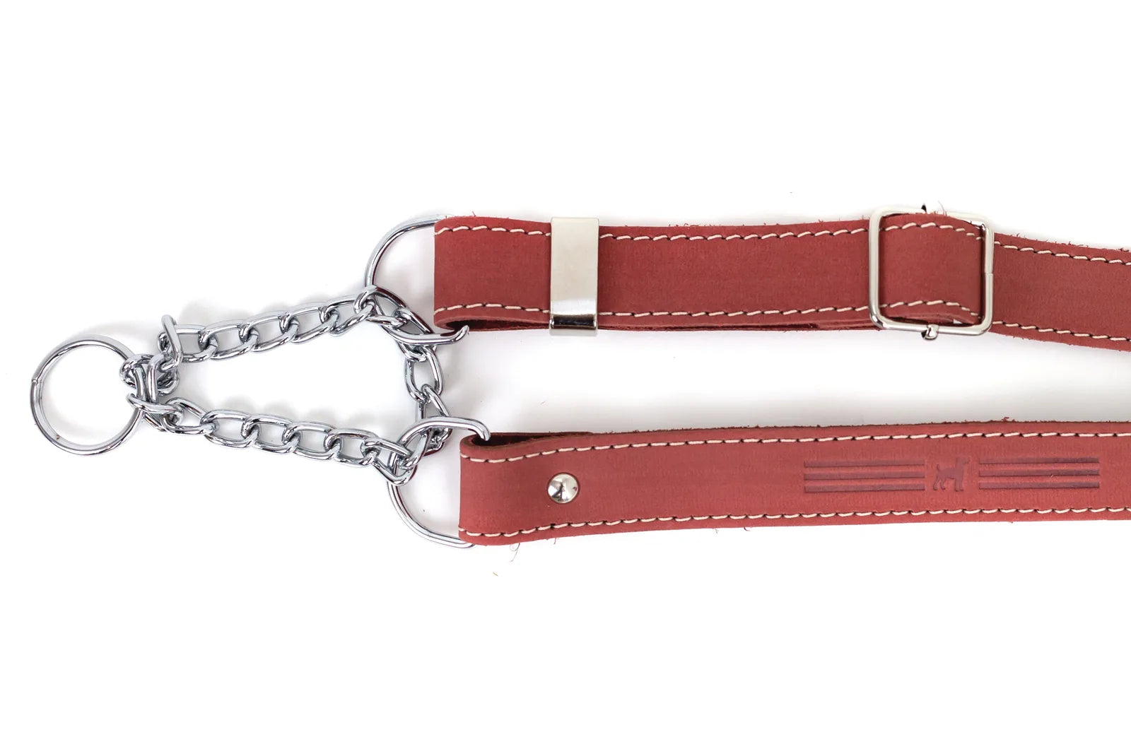 Coral reef leather Martingale dog collar featuring durable stitching and polished steel hardware, ideal for daily walks.