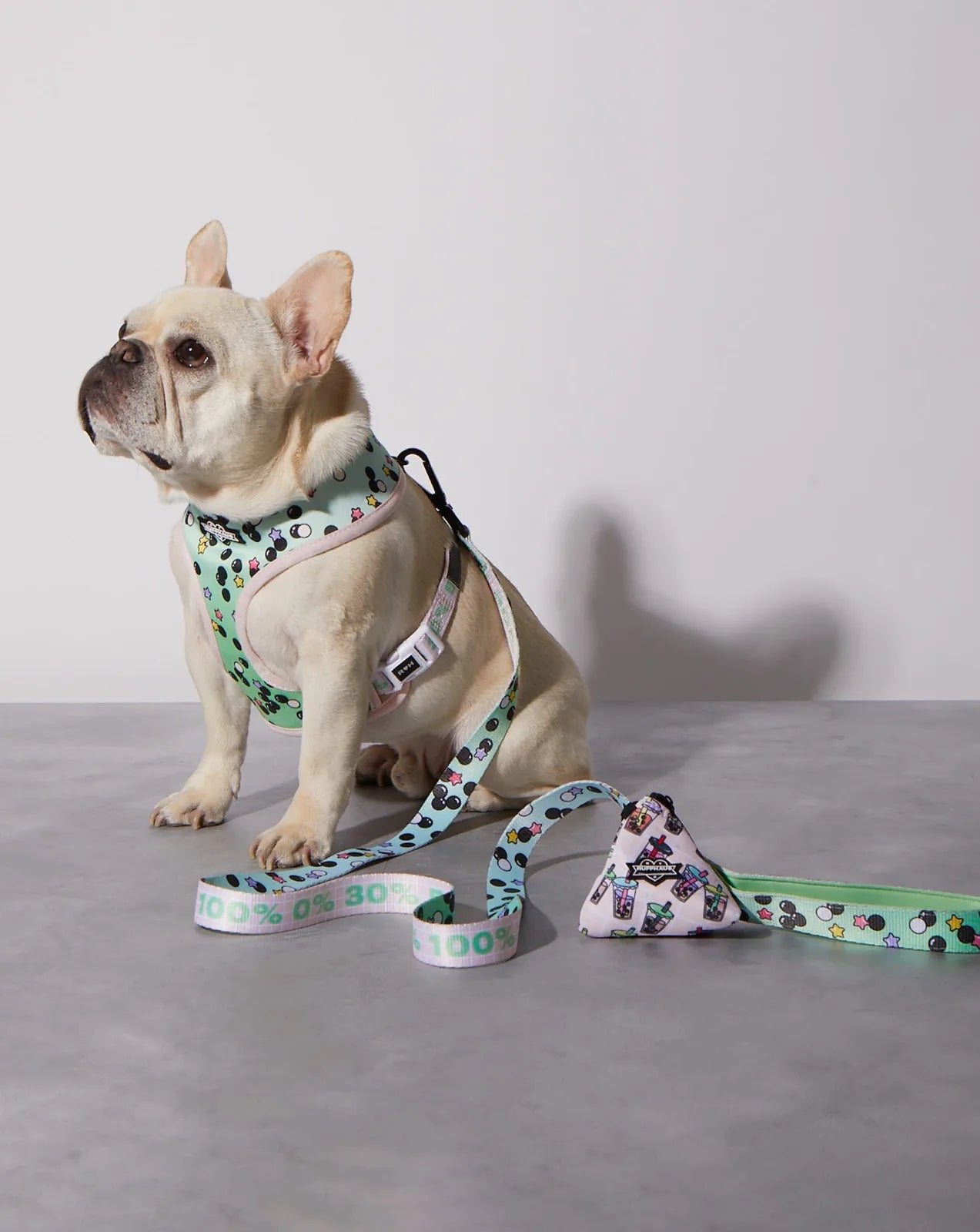 Matcha Boba Dog Leash in mint with playful patterns, featuring a soft grip handle and sturdy snap clasp.