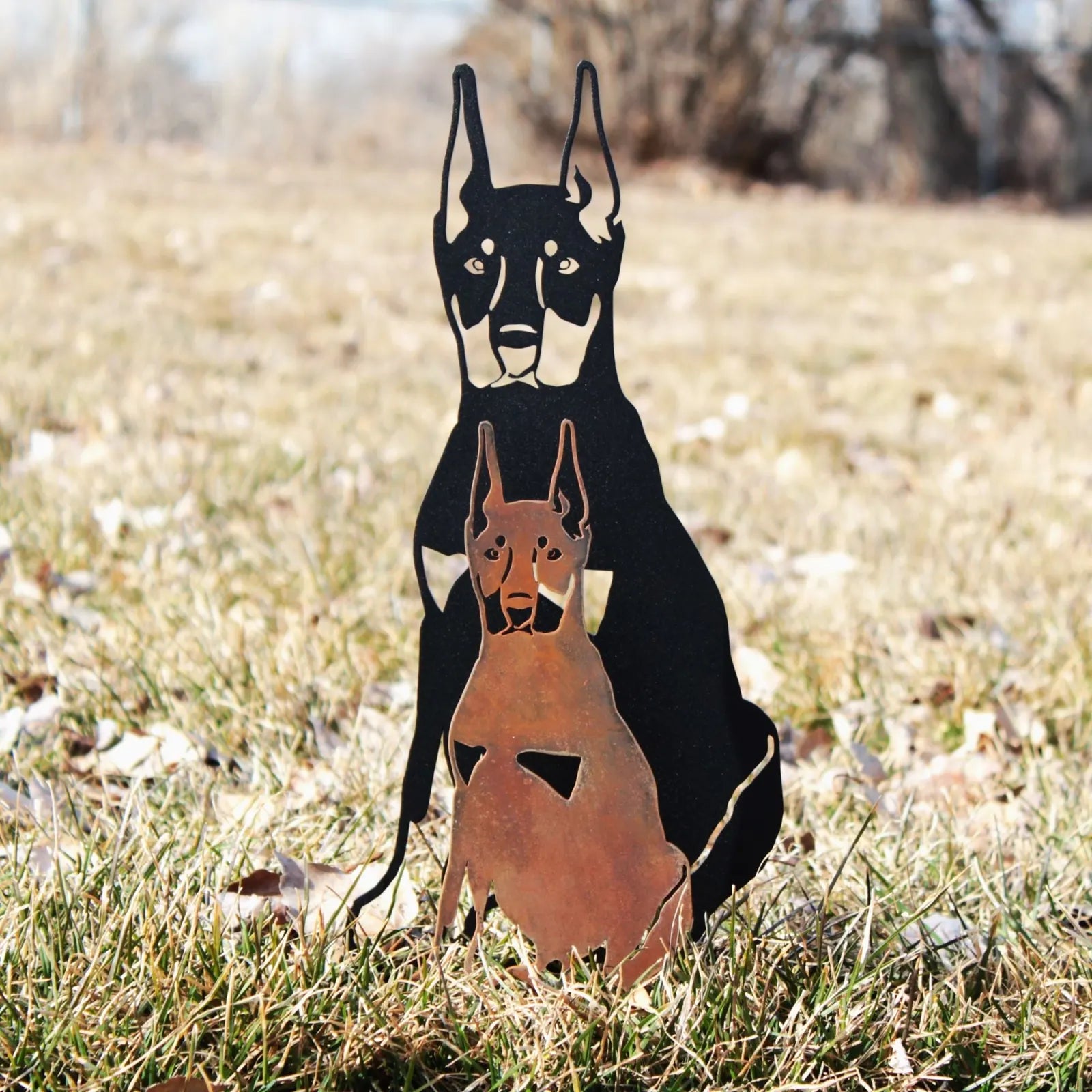 Miniature Pinscher metal silhouette in matte black and rust-colored Corten steel, displayed outdoors on grass.