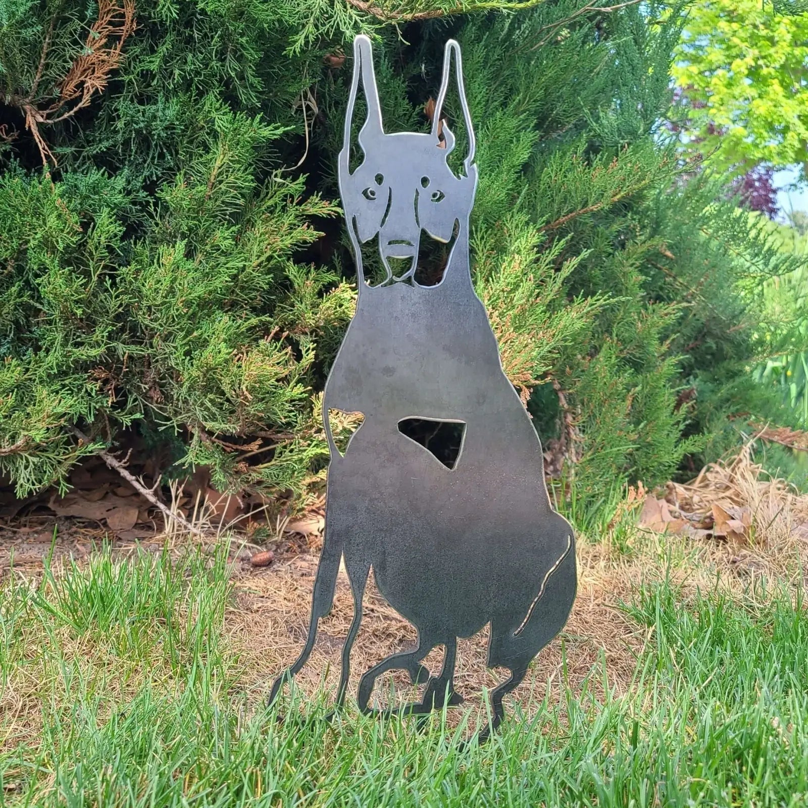 Miniature Pinscher metal silhouette in matte black, installed in a grassy area against green shrubs.