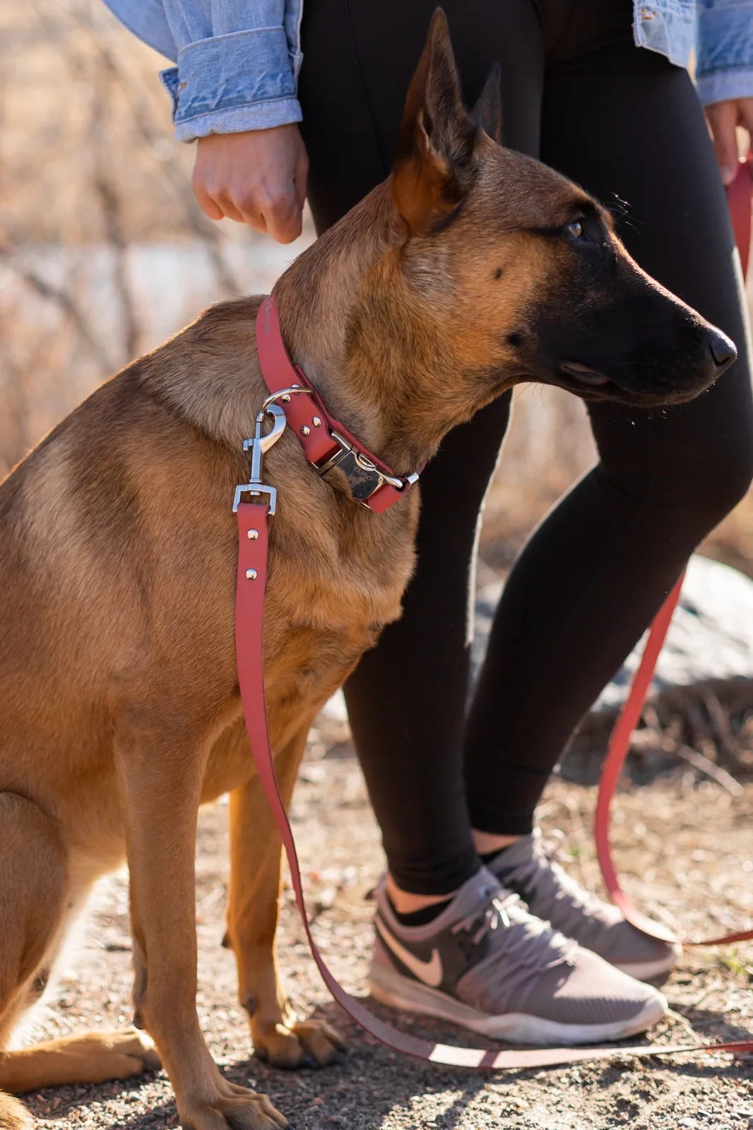 Coral reef leather dog leash secured to a tan dog, with a person holding it, set against a natural outdoor backdrop.
