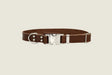 Modern Style Quick-Release Chocolate Leather Dog Collar