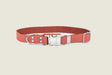 Modern Style Quick-Release Coral Reef Leather Dog Collar