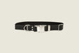 Euro-Dog Collars and Leads