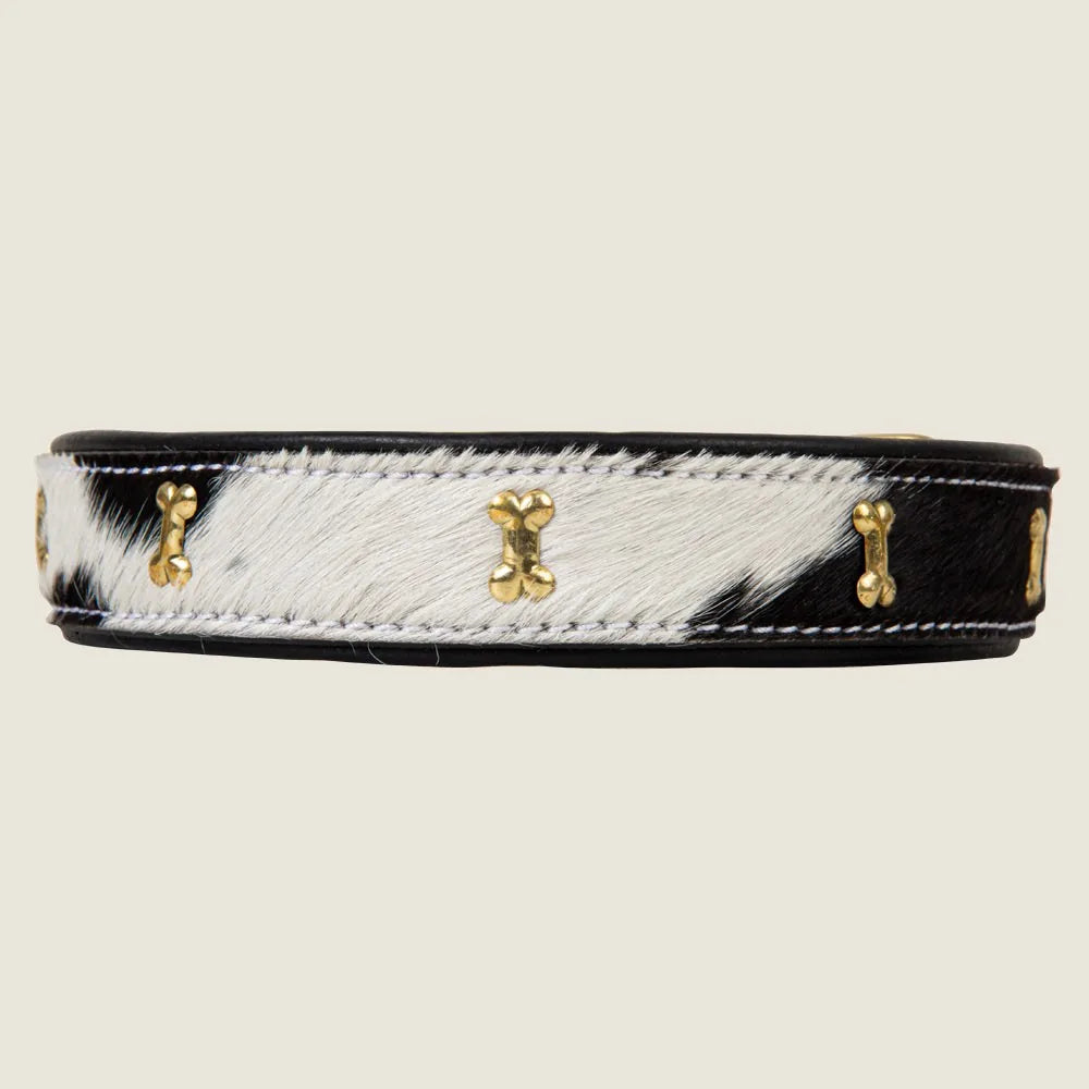 Stylish Monterey dog collar made of black and white hair-on leather, featuring gold-tone bone accents.