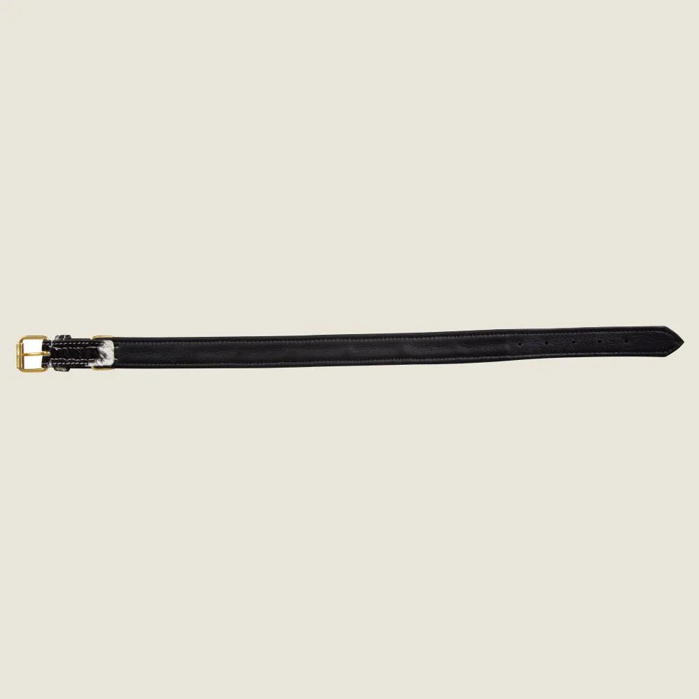 Monterey Hair-on Hide Dog Collar in black and white leather with gold-tone buckle, designed for stylish everyday use.