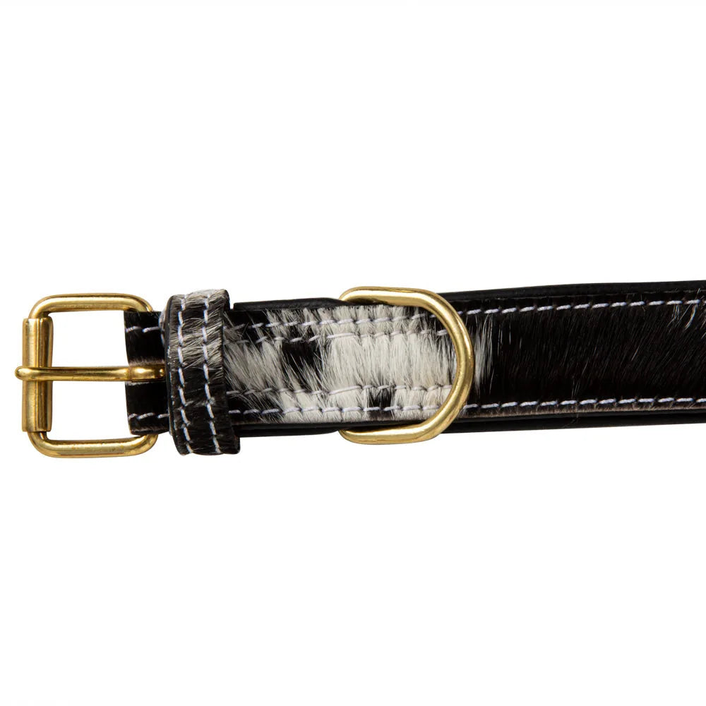Monterey hair-on hide dog collar featuring black and white leather with gold-tone hardware and adjustable design.
