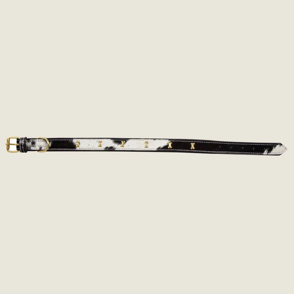 Monterey dog collar in black and white hair-on leather with gold-tone bone accents, adjustable from 16 to 28 inches.