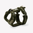'Moss Green' - Sherpa Dog Harness by FURLOU