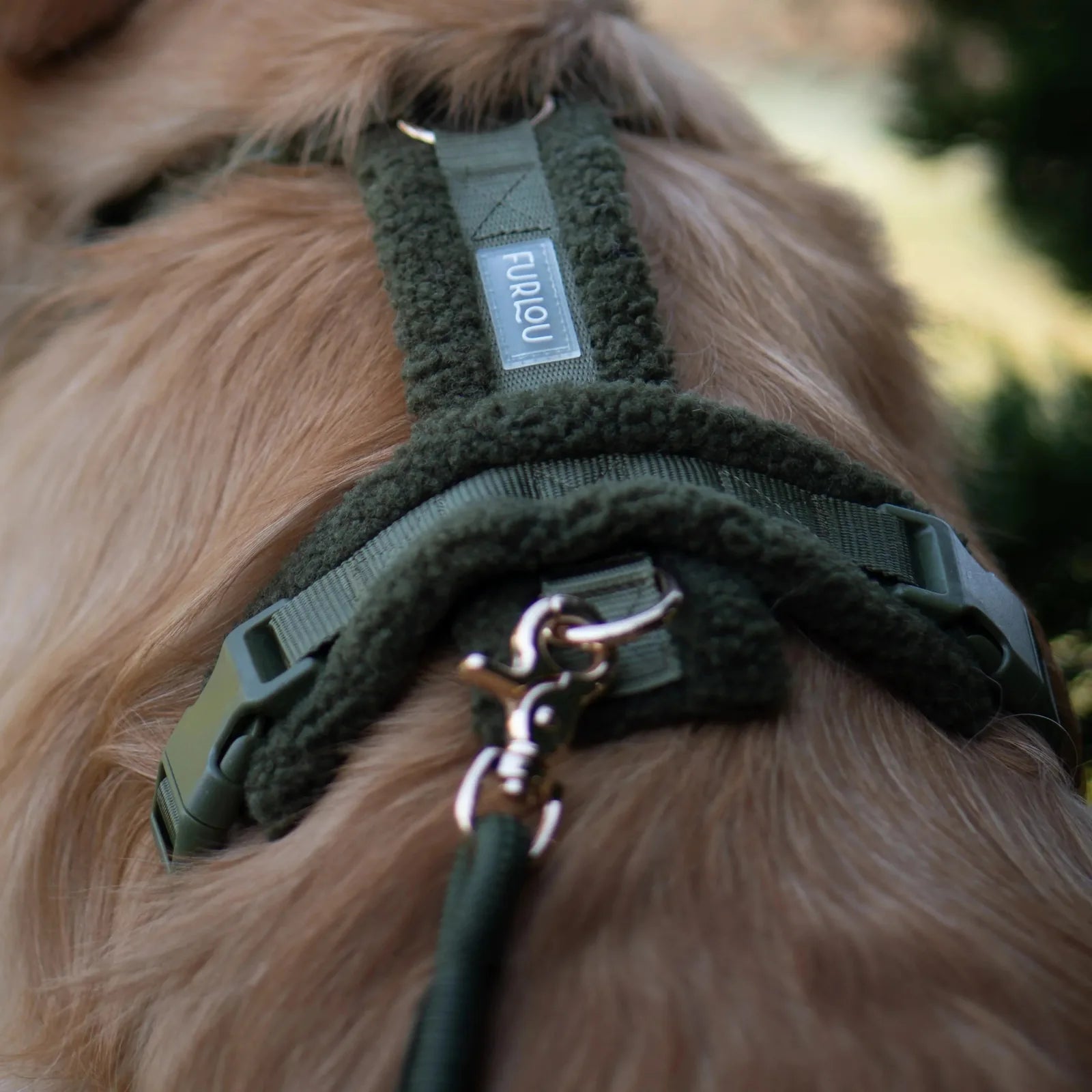 Moss green FURLOU sherpa dog harness, featuring soft lining and adjustable straps, securely fits a fluffy dog coat.