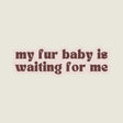 My Fur Baby Is Waiting For Me Sticker