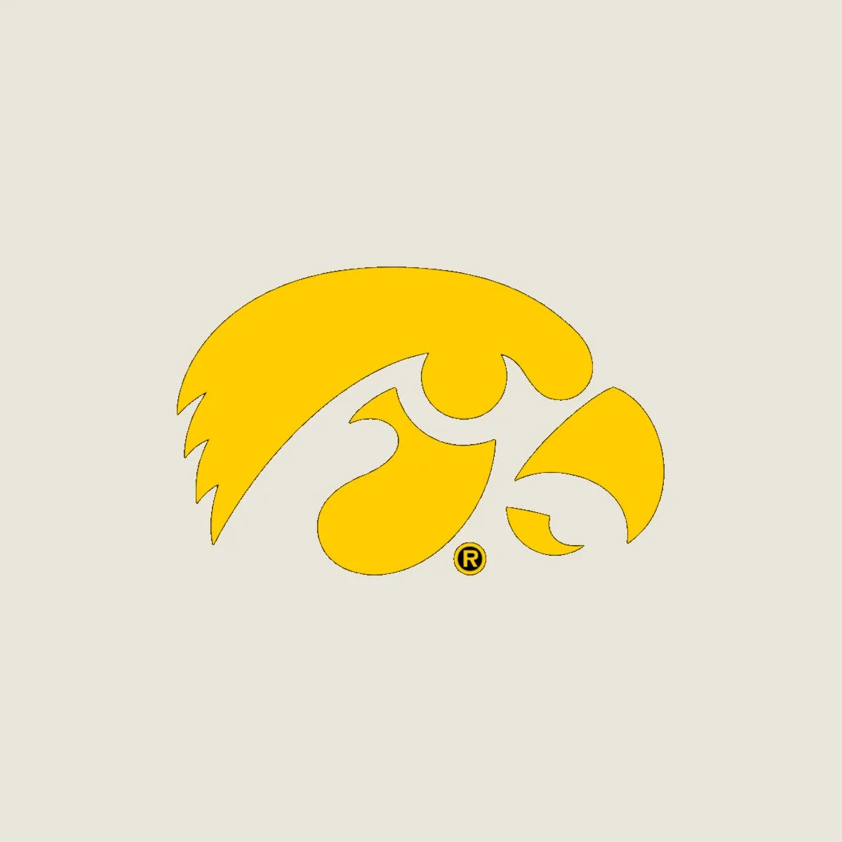 Herky the Hawk logo in bold yellow on a light background, representing University of Iowa spirit for pets.