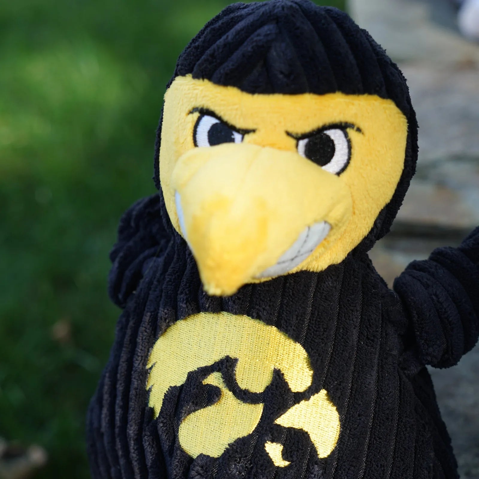 University of Iowa Herky the Hawk plush dog toy in black and yellow with knotted limbs and five squeakers for engaging play.