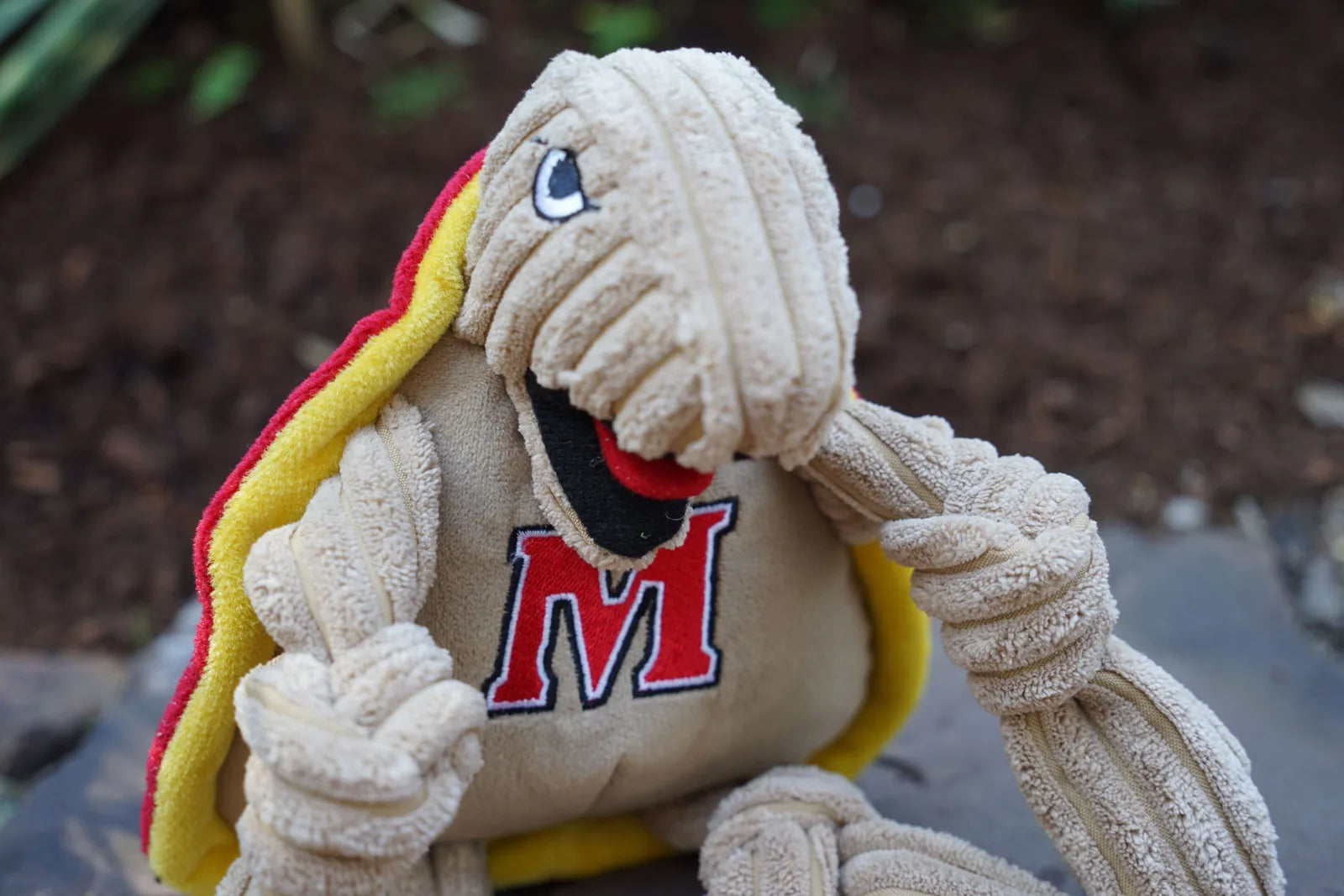 Testudo the Terrapin plush dog toy featuring a beige corduroy exterior and red/yellow accents, perfect for interactive play.