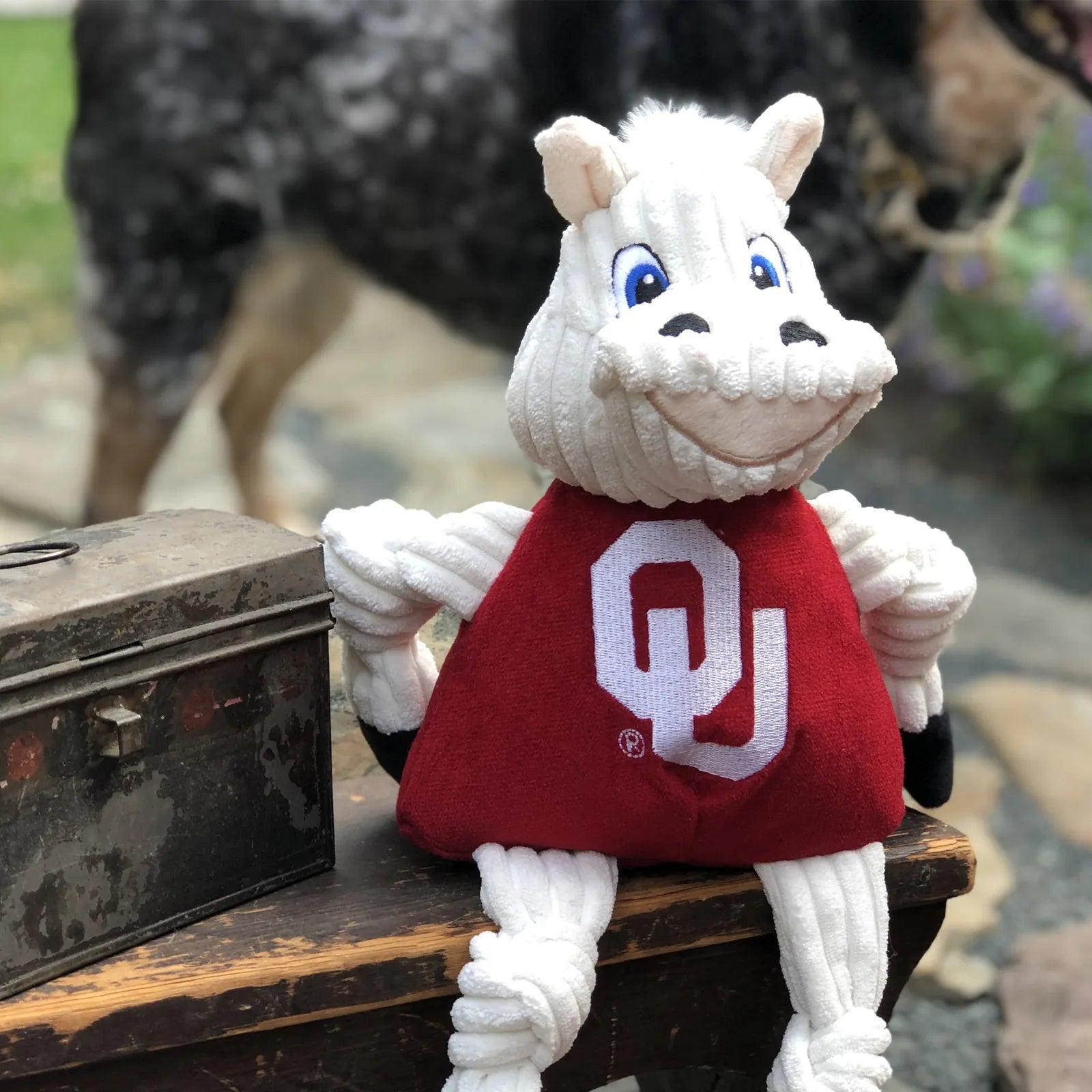 University of Oklahoma Sooner Knottie® plush dog toy with knotted limbs, red fabric, and cartoonish design, perfect for play.