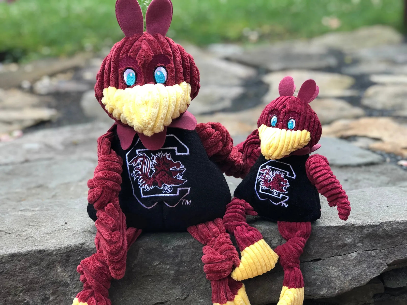 Cocky Knottie plush dog toys in garnet and black, featuring knotted limbs and bright blue eyes, perfect for playful pups.