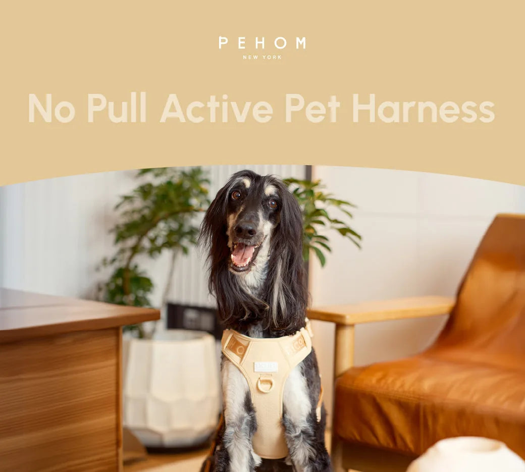 Apricot no pull active pet harness on a happy dog, showcasing adjustable design and comfort in a stylish home setting.