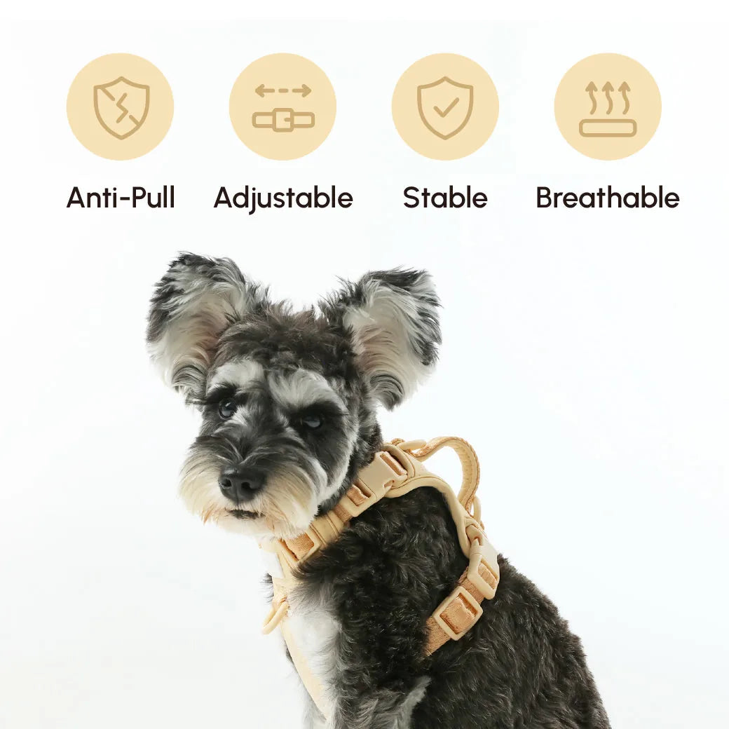 Apricot dog harness on a black and white dog, featuring adjustable straps and a reinforced handle for comfort and control.