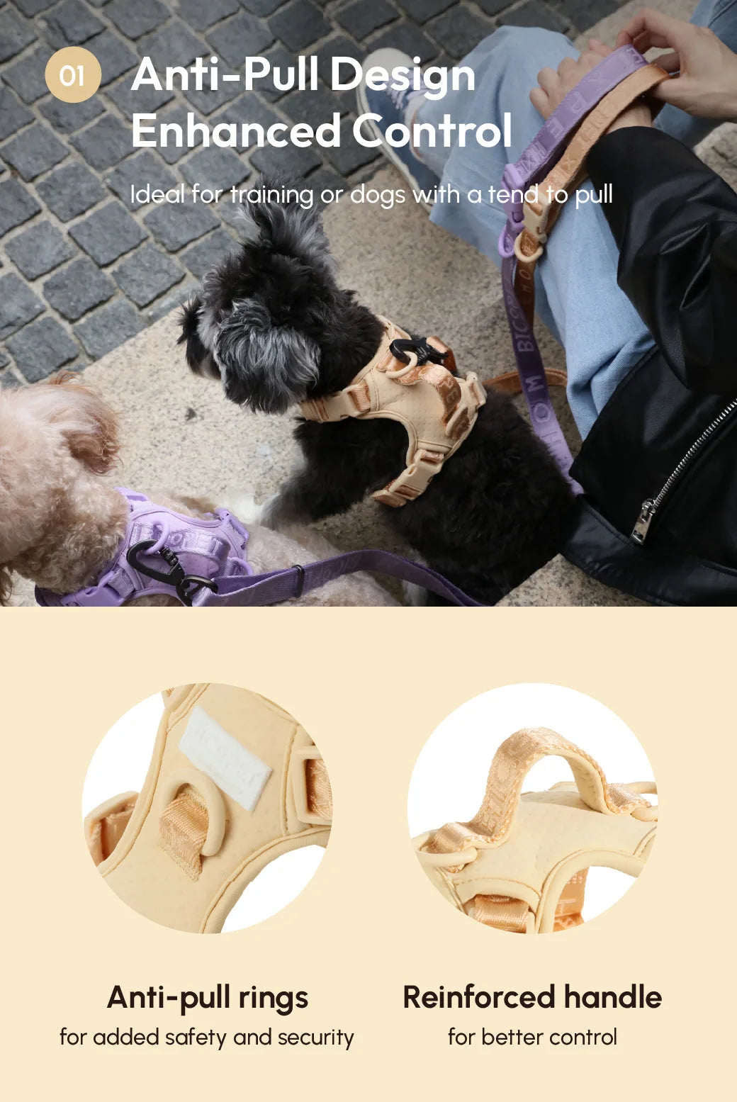 Apricot dog harness featuring anti-pull rings and reinforced handle for enhanced control during walks.