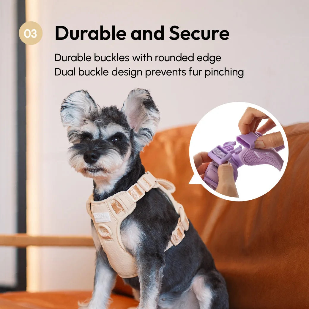 Apricot dog harness on a small dog, featuring durable rounded edge buckles and a secure dual buckle design.