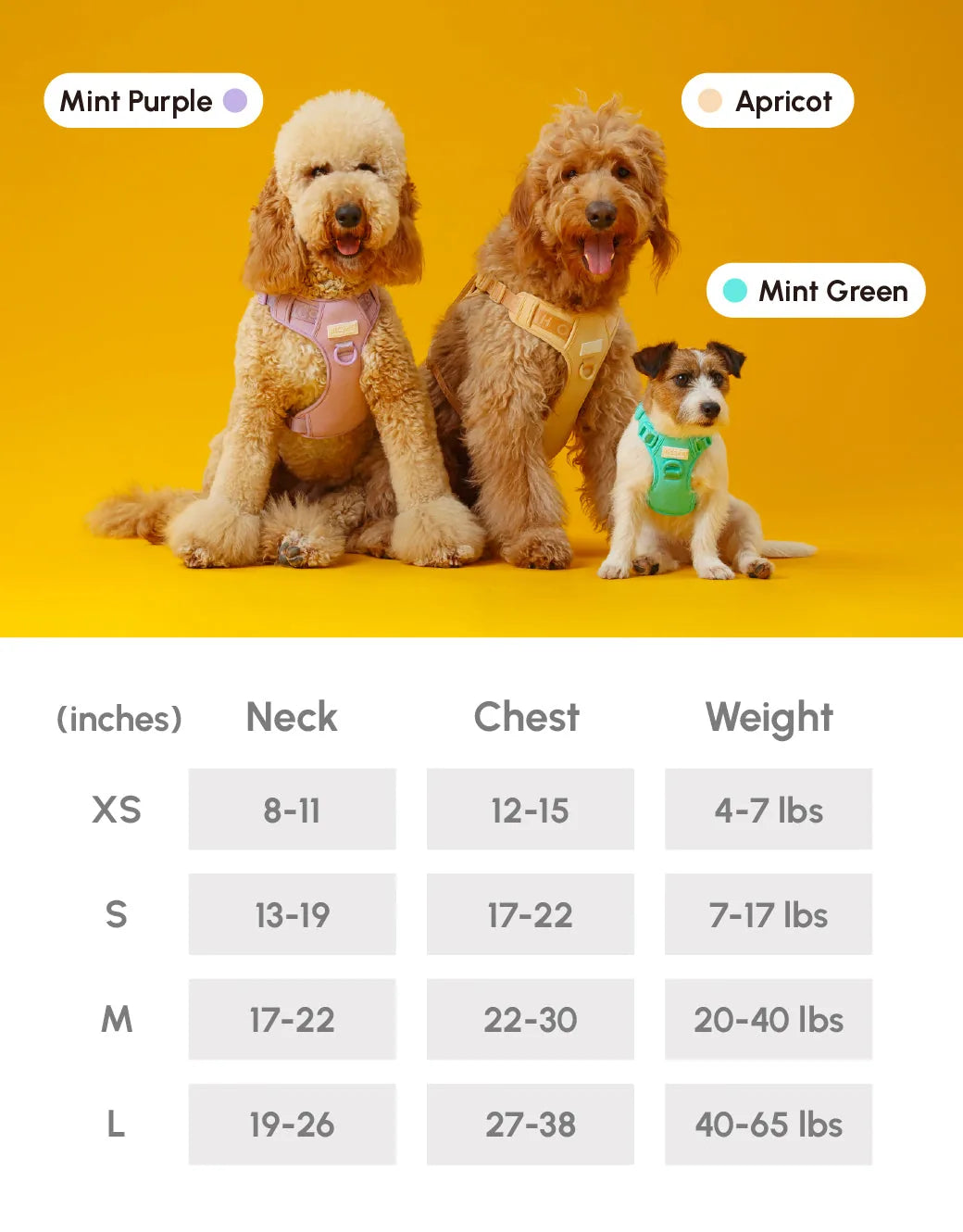 Three dogs in colorful, comfortable harnesses sit against a bright yellow background, showcasing the apricot option.