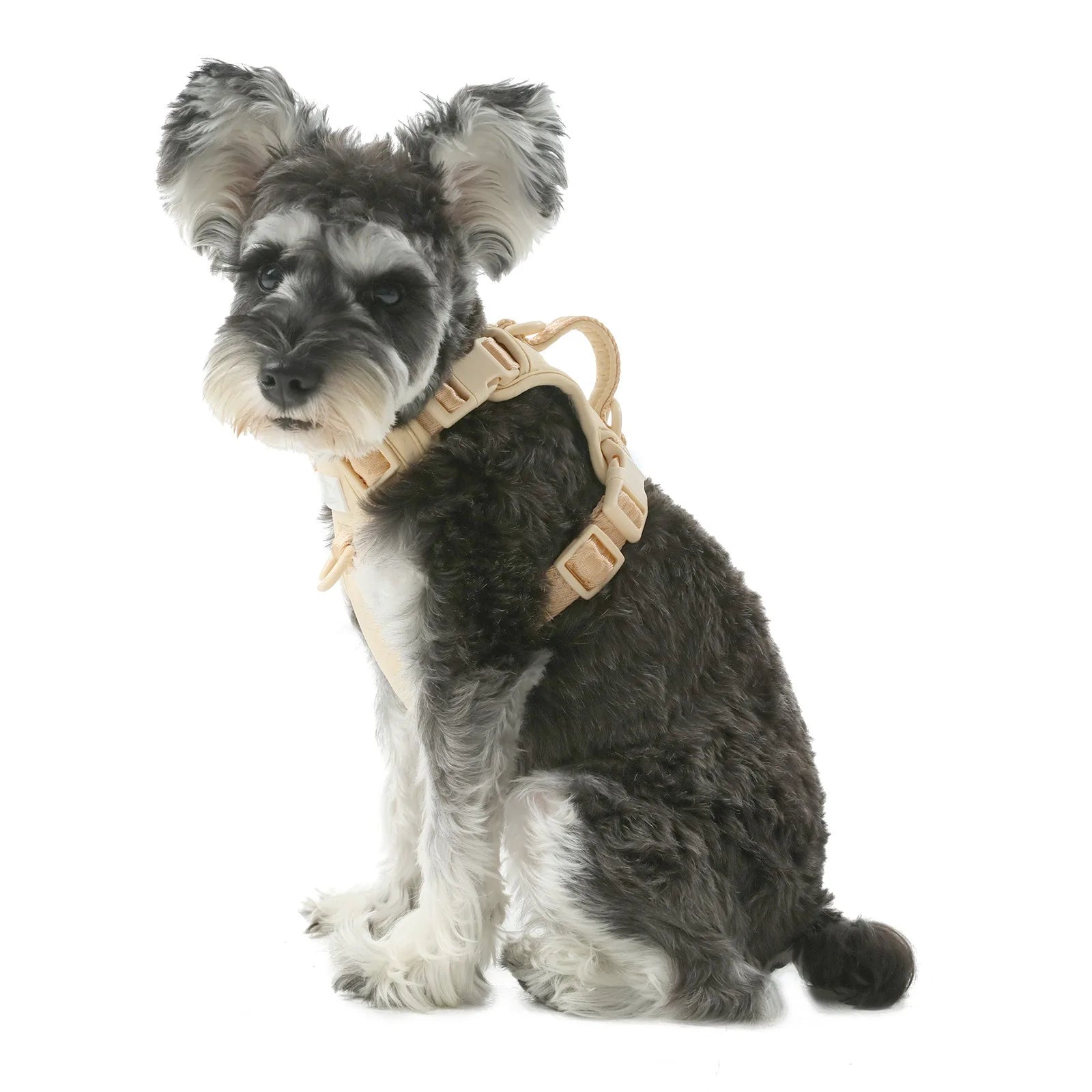 No pull active pet harness in apricot color worn by a dog with black and gray fur, featuring adjustable straps and buckles.