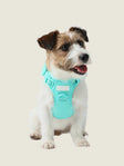 NO PULL ACTIVE PET HARNESS - MINT GREEN