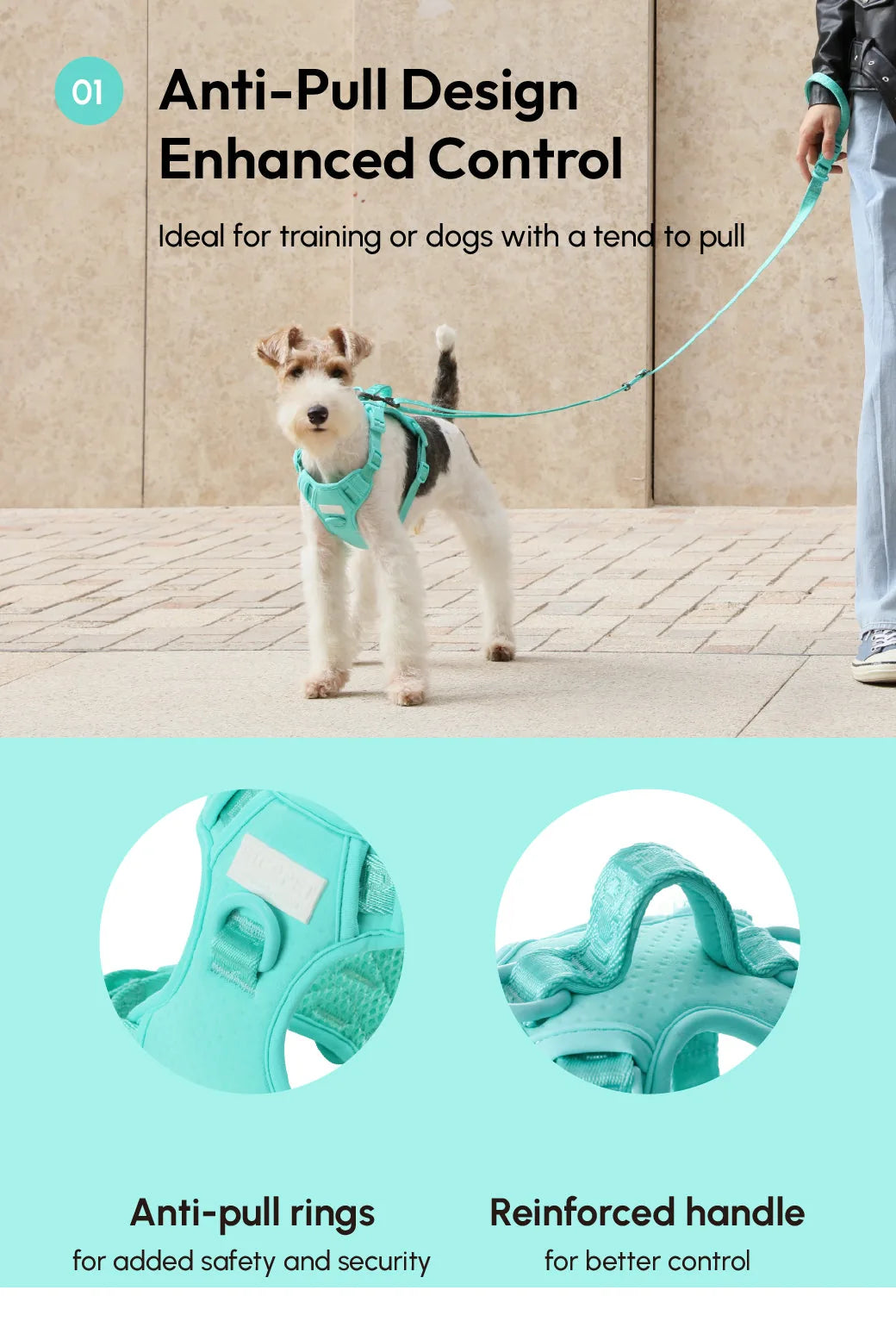 Mint green dog harness featuring anti-pull design, reinforced handle, and breathable materials for enhanced comfort.