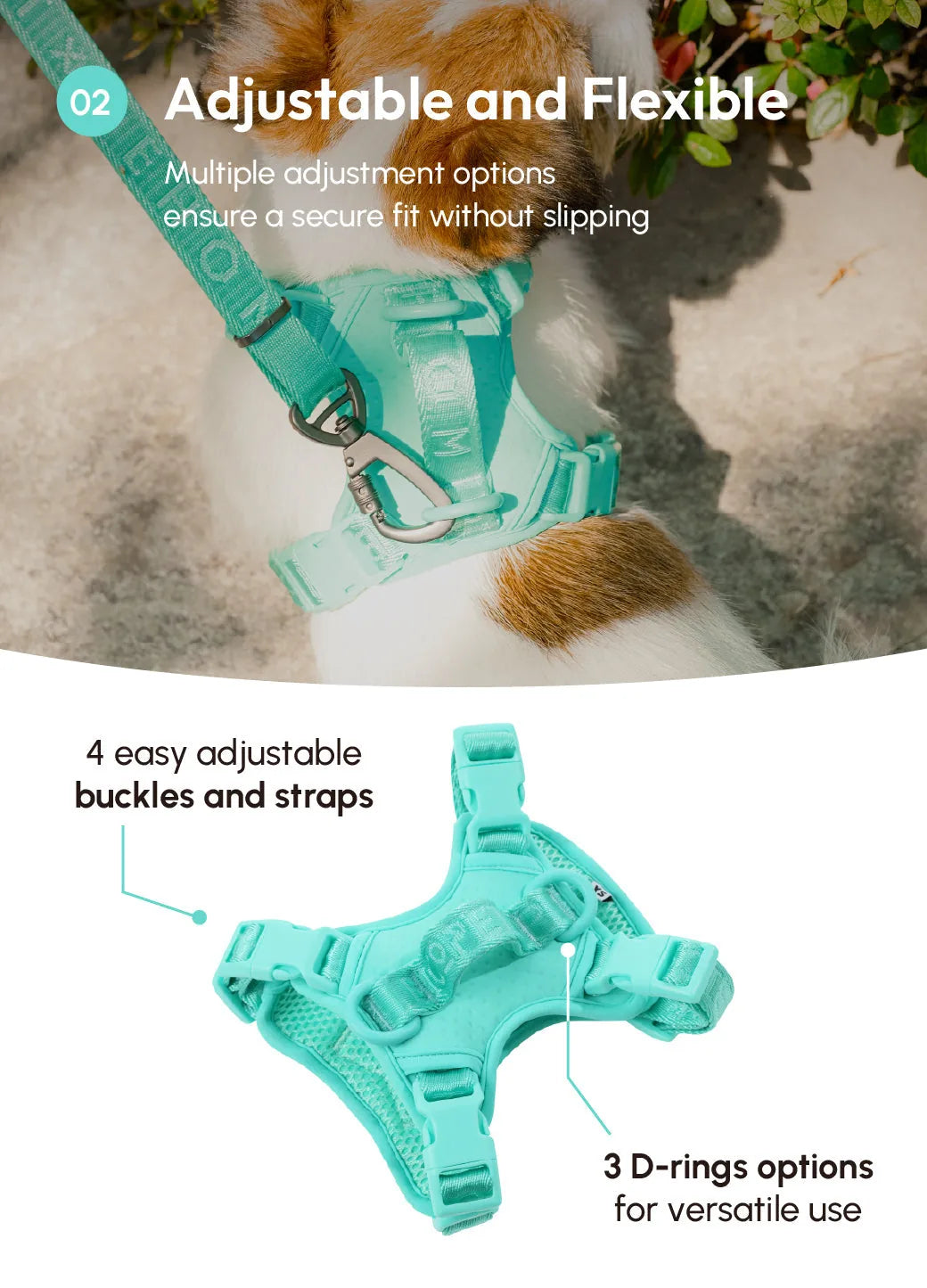 Mint green adjustable dog harness featuring four buckles and three D-ring options for a secure, comfortable fit.