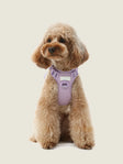 NO PULL ACTIVE PET HARNESS - MINT PURPLE