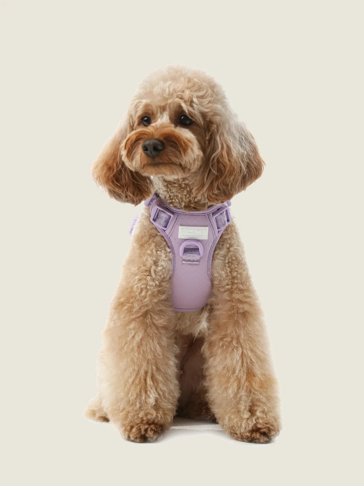 No pull active dog harness in mint purple, featuring adjustable design and durable buckles for comfort and control.